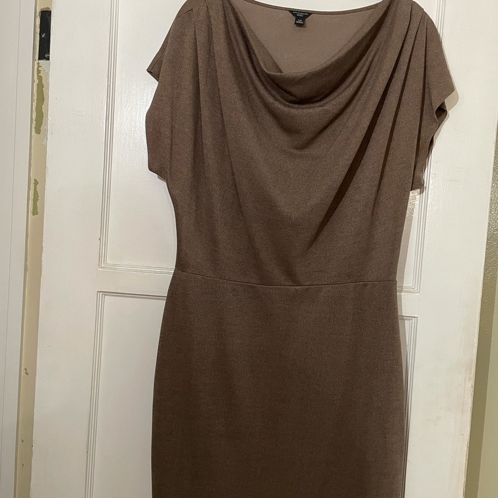 Ladies dress. Size petite Large. Ann Taylor.